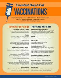 Essential Dog & Cat Vaccinations